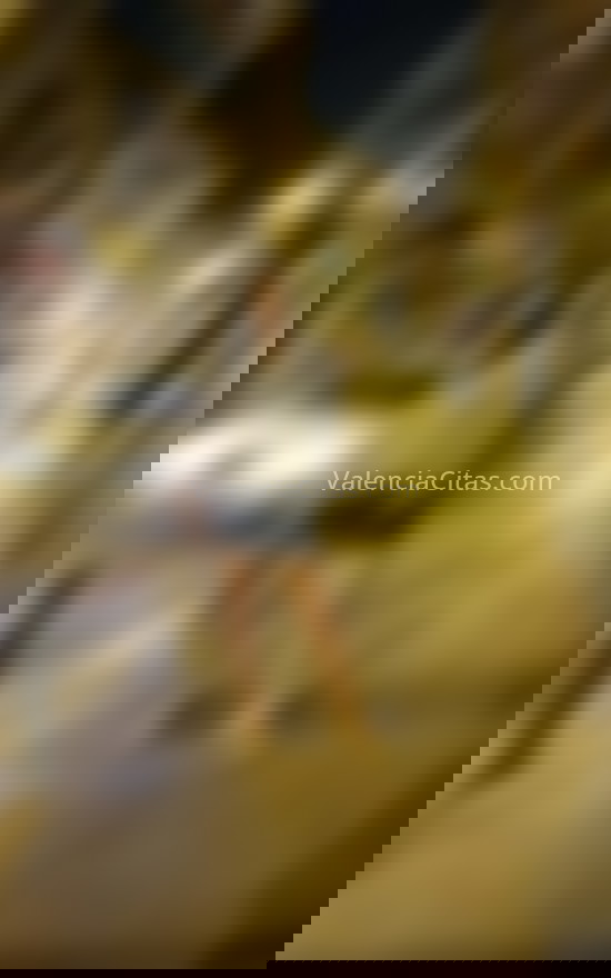 Gina, trans paraguaya  . 632470779. Citas en VALENCIA, VALENCIA. www.valenciacitas.com.