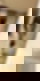 653268066