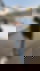 639136856