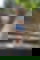 603975455