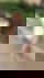 640276055