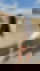 672511314