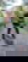 744406880