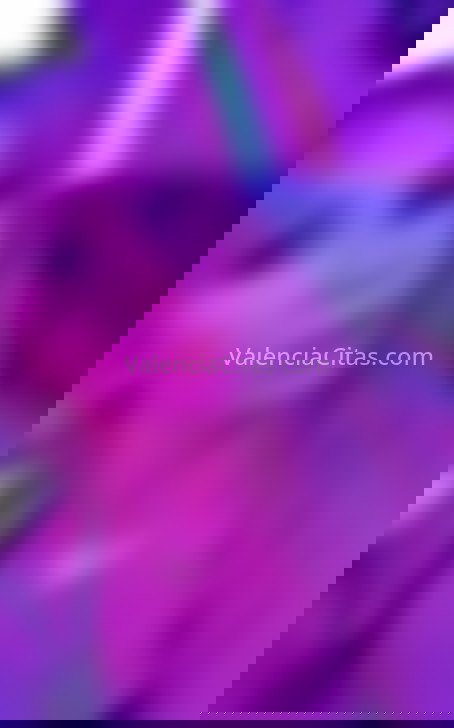 Zully, chica trans argentina. 624458367. Citas en VALENCIA, VALENCIA. www.valenciacitas.com.