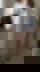 631052282