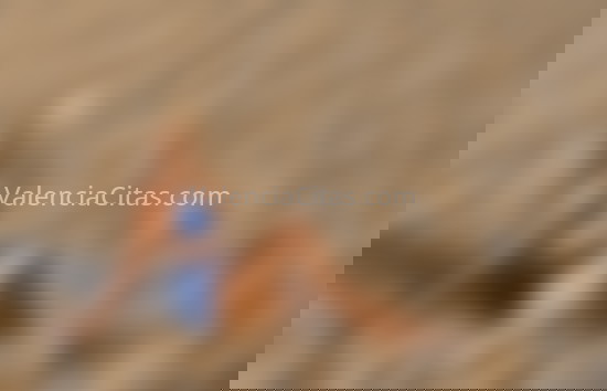 Sofía, chica española muy divertida. 722662535. Citas en VALENCIA, VALENCIA. www.valenciacitas.com.