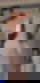 663276121