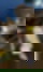 602060403